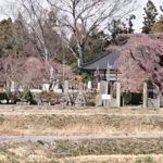 墓じまい